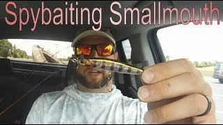 Spy bait and Topwater River Smallmouth Fishing