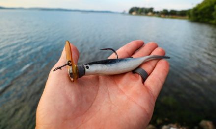 The MOST realistic lure that CATCHES FISH!! + (How to fish a Swimbait)