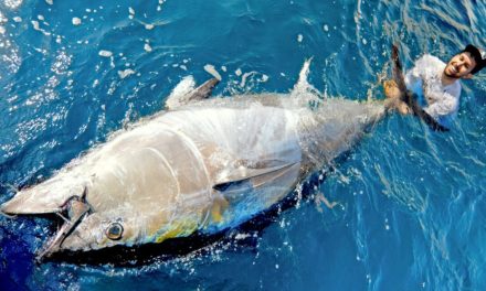 BlacktipH – This Tuna was MASSIVE!!
