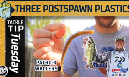 Bassmaster – Three sure-fire post spawn soft plastics with Patrick Walters (SUCCESSFUL BASS FISHING)