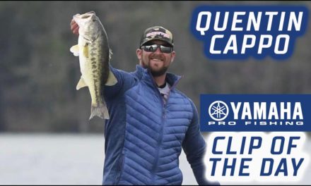 Bassmaster – Yamaha Clip of the Day: Cappo's afternoon kicker keeps him in 2nd