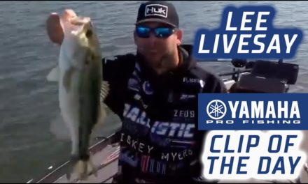 Bassmaster – Yamaha Clip of the Day: Local favorite Livesay close to win on home lake