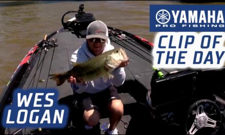 Bassmaster – Yamaha Clip of the Day: Logan's Neely game changer to take the lead
