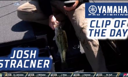 Bassmaster – Yamaha Clip of the Day: Stracner's flurry into contention