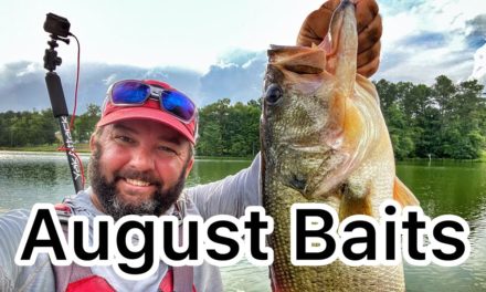 FlukeMaster – August Bass Fishing Baits for All Day Fishing