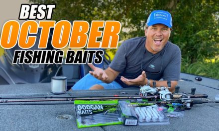 Scott Martin Pro Tips – BEST Fishing Baits for OCTOBER