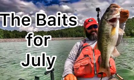 FlukeMaster – Baits and Lures for July – Bass Fishing