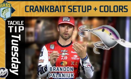 Bassmaster – Brandon Palaniuk tells you which crankbait colors you should use! (Deep Water Fishing)