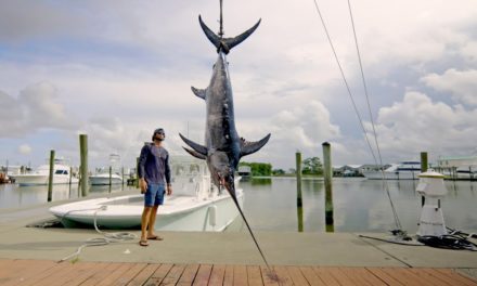 BlacktipH – Catching Swordfish in Louisiana