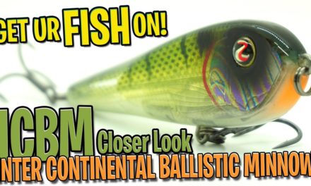 Closer Look at the River 2 Sea ICBM Bass Fishing Glide Bait