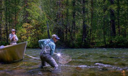 DRY FLY ACTION – Father and Son FLY FISHING the McKenzie River by Todd Moen