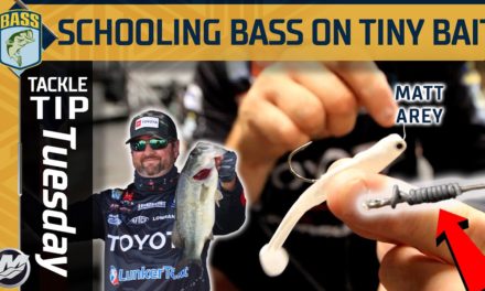 Bassmaster – Fishing TINY Baits for Schooling Bass in Fall