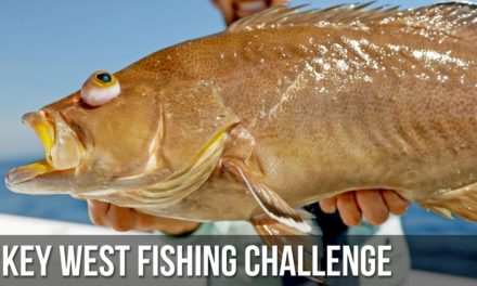 BlacktipH – Key West Bottom Fishing Challenge