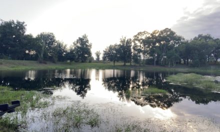 Live pond bank bass fishing on a cool Florida evening.
