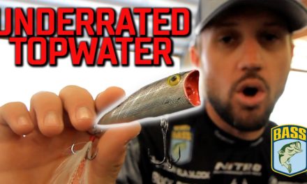 Bassmaster – Most UNDERRATED Topwater of All Time? (The infamous Pop-R)
