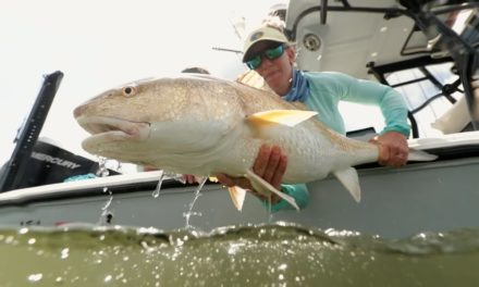 The Obsession of Carter Andrews – OCA_S8_Shimano_Moe’s Redfish System_WEB.mp4