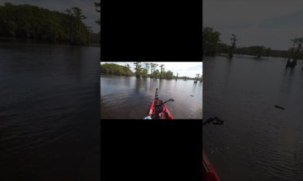 FlukeMaster – Ok, I Fell Out of My Kayak
