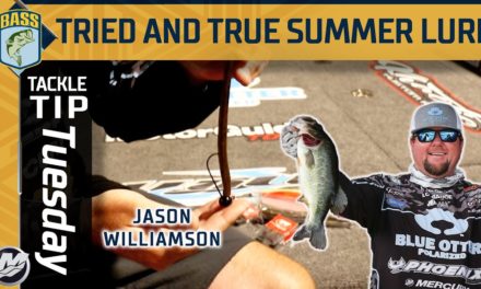 Bassmaster – One of the most effective fishing lures with Jason Williamson