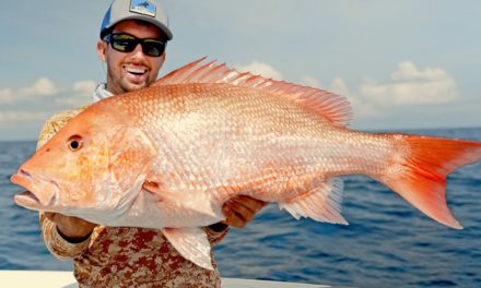 BlacktipH – Opening Day of Red Snapper Fishing in Alabama