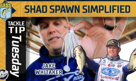 Bassmaster – Simplifying Shad Spawn baits with Jake Whitaker