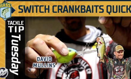 Bassmaster – Switch Crankbaits Quickly while on the water (David Mullins go-to secret)