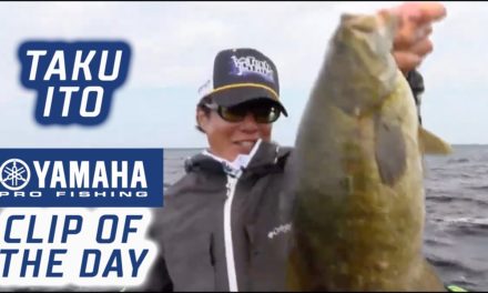 Bassmaster – Yamaha Clip of the Day: Taku Time on the St. Lawrence