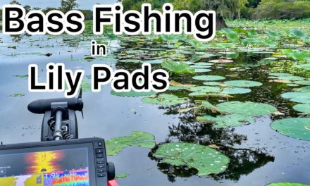 FlukeMaster – 3 Baits and 3 Ways to Fish Lily Pads – Bass Fishing