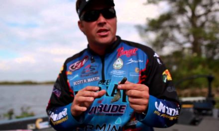 Bass Fishing: How to Pick the Right Size Fishing Hook when using a Plastic Worm