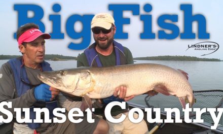 Big Fish in Sunset Country