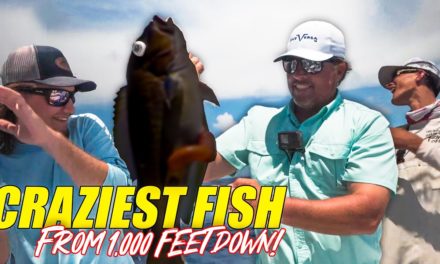 Scott Martin Pro Tips – CRAZIEST Looking Fish CAUGHT in 1,000 feet of Water! – Vice Versa Fishing Charters