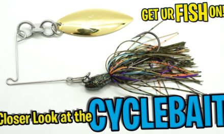 Closer Look at the 10,000 Fish CYCLEBAIT Bass Fishing Spinnerbait