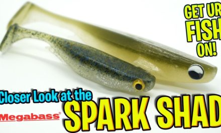 Closer Look at the Megabass Spark Shad Bass Fishing Swimbait