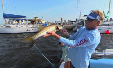 DOA Terroreyz Snook Fishing Florida Under Docks in Stuart Florida