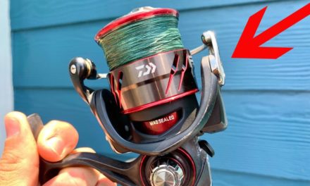 Salt Strong | – Is THIS The Best Inshore Saltwater Spinning Reel On The Market?