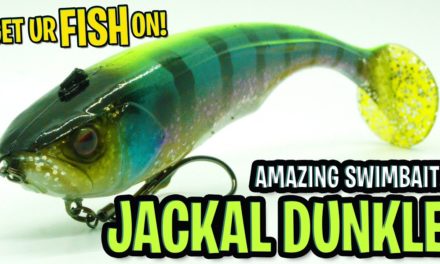 Is the Jackel Dunkle THE GREATEST BASS FISHING SWIM BAIT? UNDERWATER