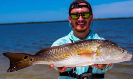 Lawson Lindsey – Redfish Catch and Cook (Inshore Fishing)