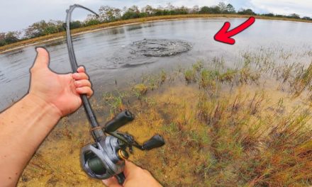Lawson Lindsey – The BIGGEST FISH in the Canal! (CANAL MONSTERS)