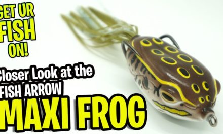 The Next GREAT Hollow Body Bass Fishing Frog? Fish Arrow Maxi Frog