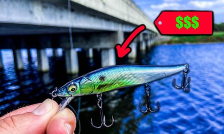 Lawson Lindsey – This Lure is Ridiculously EXPENSIVE But Worth Every Penny!