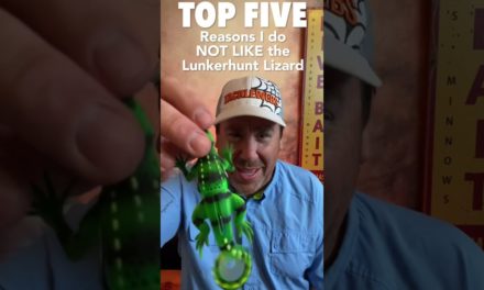 Top Five Reasons I Do NOT Like the Lunkerhunt Skitter Lizard