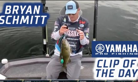 Bassmaster – Yamaha Clip of the Day: Bryan Schmitt's winning fish catch on Champlain