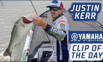 Bassmaster – Yamaha Clip of the Day: Kerr's twin giants jump him to 2nd