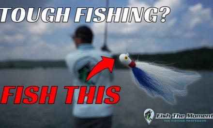 Can’t Get a Bite Offshore? This Bait Will Put Them In the Boat Fast!
