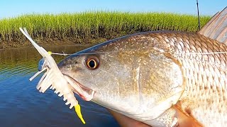 Salt Strong | – 3 Tips To Catch Shallow Water Redfish
