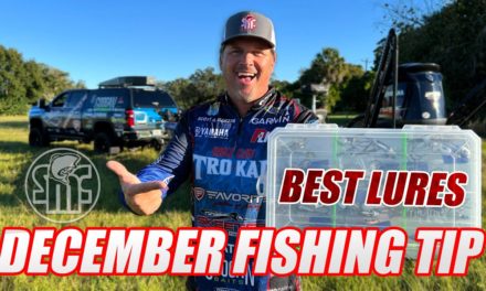 Scott Martin Pro Tips – BEST Fishing Lures for DECEMBER