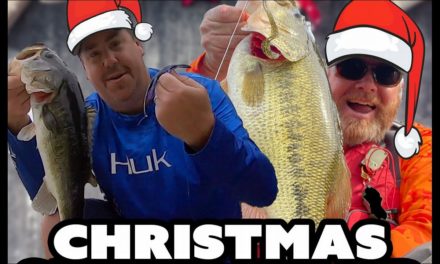 Christmas Chaos with Get UR Fish On & Mr Bass LIVE