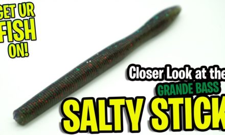 Closer Look at the Grande Bass Salty Stick Bass Fishing Worm