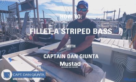 Easy How to fillet a striped bass