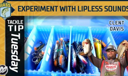 Bassmaster – Experiment with different lipless sounds this winter
