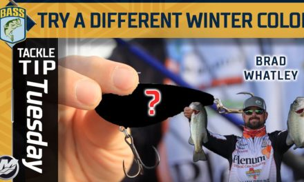 Bassmaster – Going against the grain with this WINTER color for lipless crankbaits